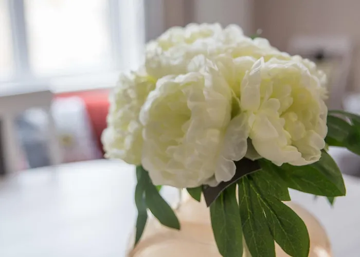 Apartamento Le Nid Saint Jean En El Corazón De La Ciudad